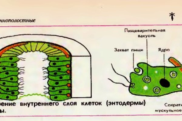 Ссылка на сайт гидра в тор браузере