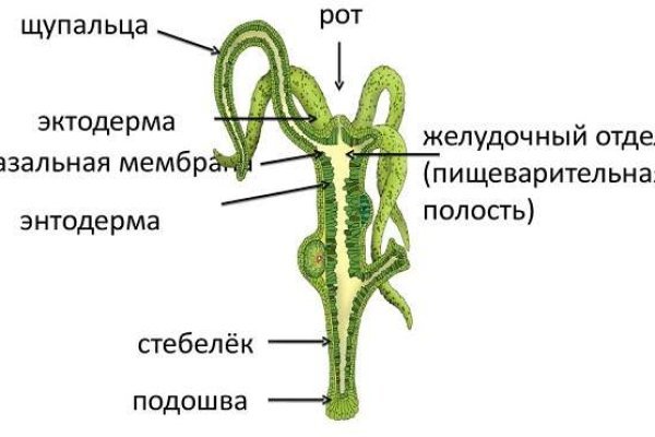 Кракен ссылка fo feng crmp ru