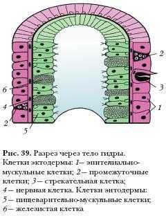 Кракен настоящий сайт