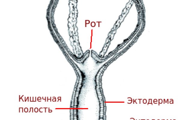 Оригинальная ссылка на кракен